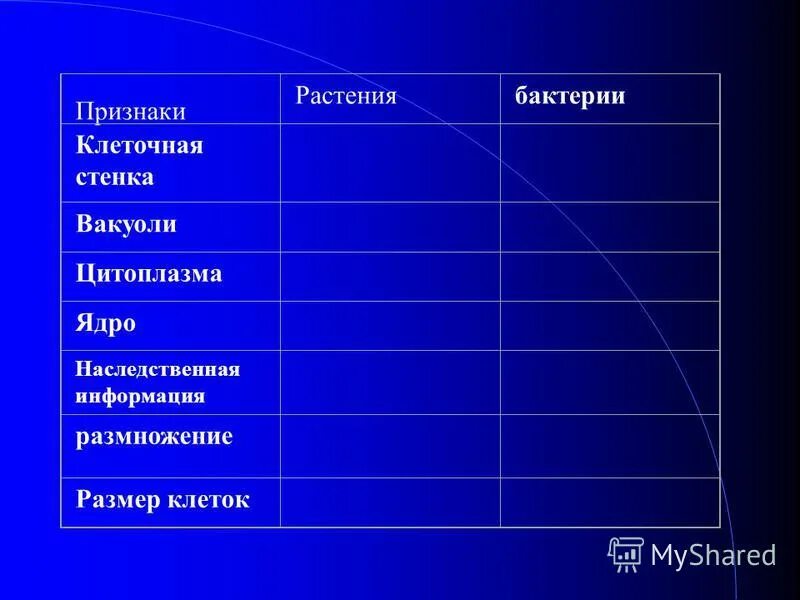 Сравнение растительной и бактериальной клетки. Признаки клетки бактерии. Клетка бактерии таблица. Признаки для сравнения клеточная стенка. Сравнение бактерий и растений