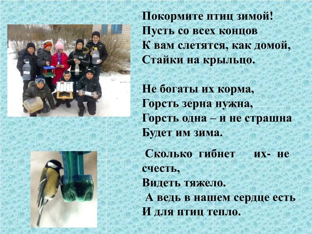 Стихотворение покормите зимой. Покормите птиц зимой пусть со всех концов к вам слетятся. Стих Покормите птиц зимой пусть со всех концов. Покормите птиц зимой стихотворение. Яшин Покормите птиц.