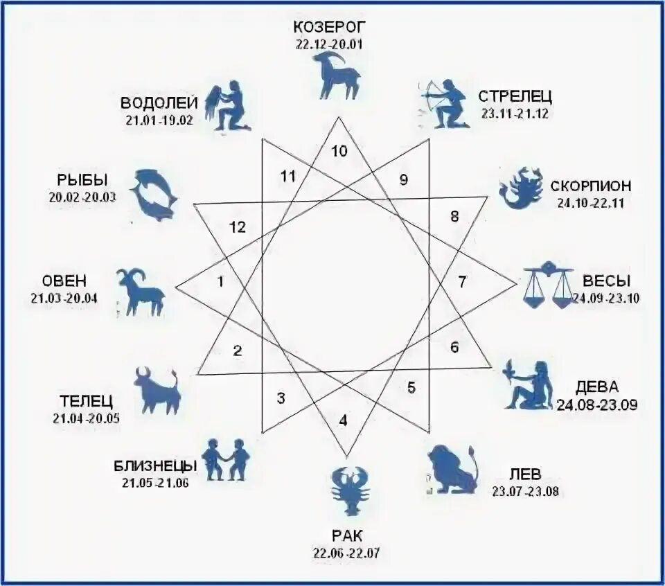 Совместимые знаки зодиака. Схема совместимости знаков зодиака. Стрелец гороскоп символ. Водолей гороскоп символ. Брак стрелец козерог