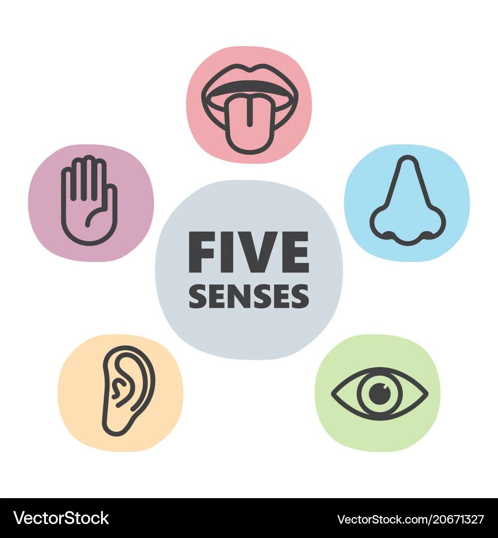 Символы органов чувств. 5 senses. Sense taste. Картинки taste for kids. Картинка для детей senses.