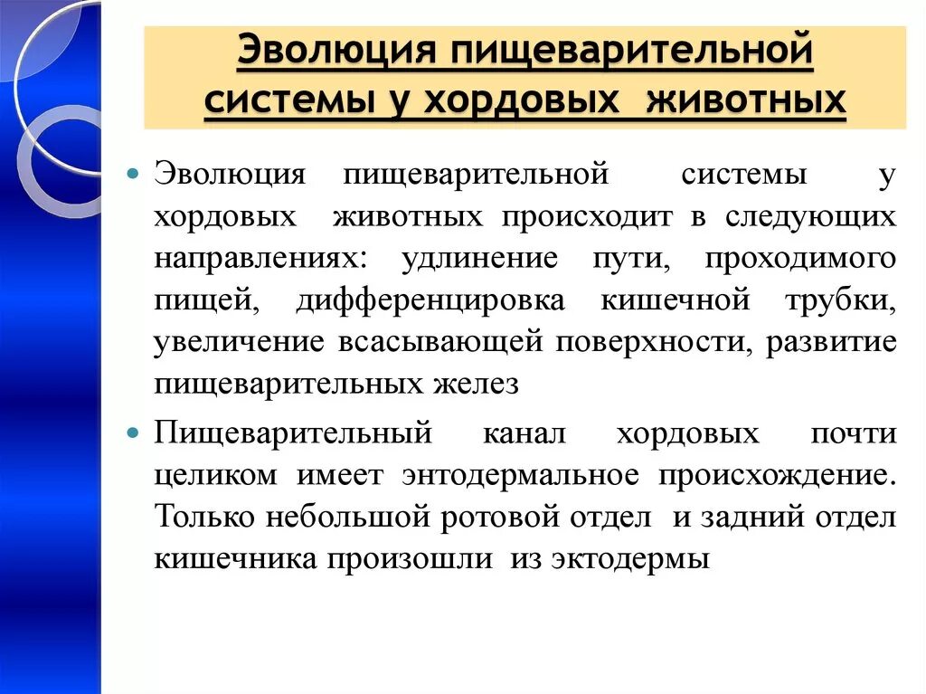 Эволюция пищеварительной системы позвоночных животных. Эволюция пищеварительной системы хордовых. Эволюция систем органов животных пищеварительная система. Филогенез органов пищеварения у хордовых. Происхождение пищеварительной системы