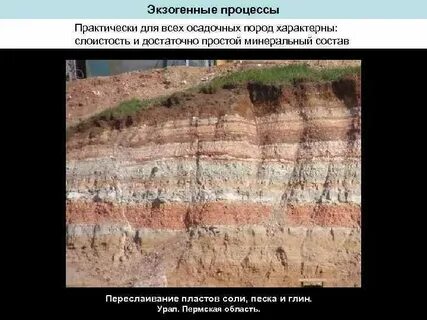 Экзогенные горные породы
