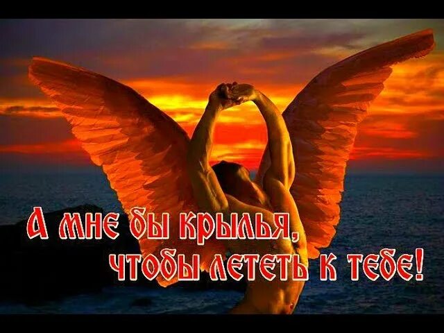 Человек летит на крыльях. Вера истов песня. Вольная птица и мужчина. Мне бы крылья. Истов мне бы крылья.