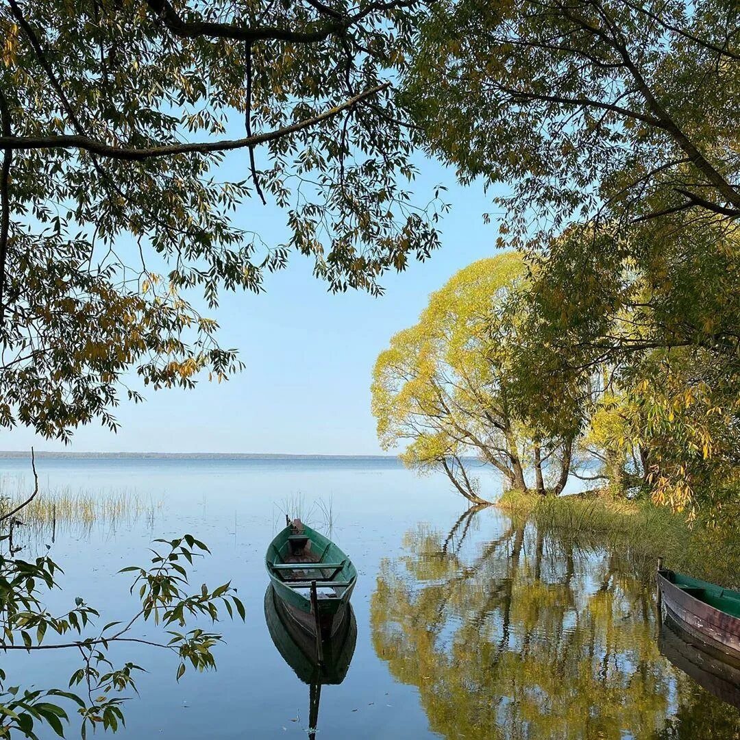 Посещение плещеево озеро. Плещеево озеро переславль. парк плещеево озеро переславль залесский. плещеево озеро национальный парк. ярославль плещеево озеро.