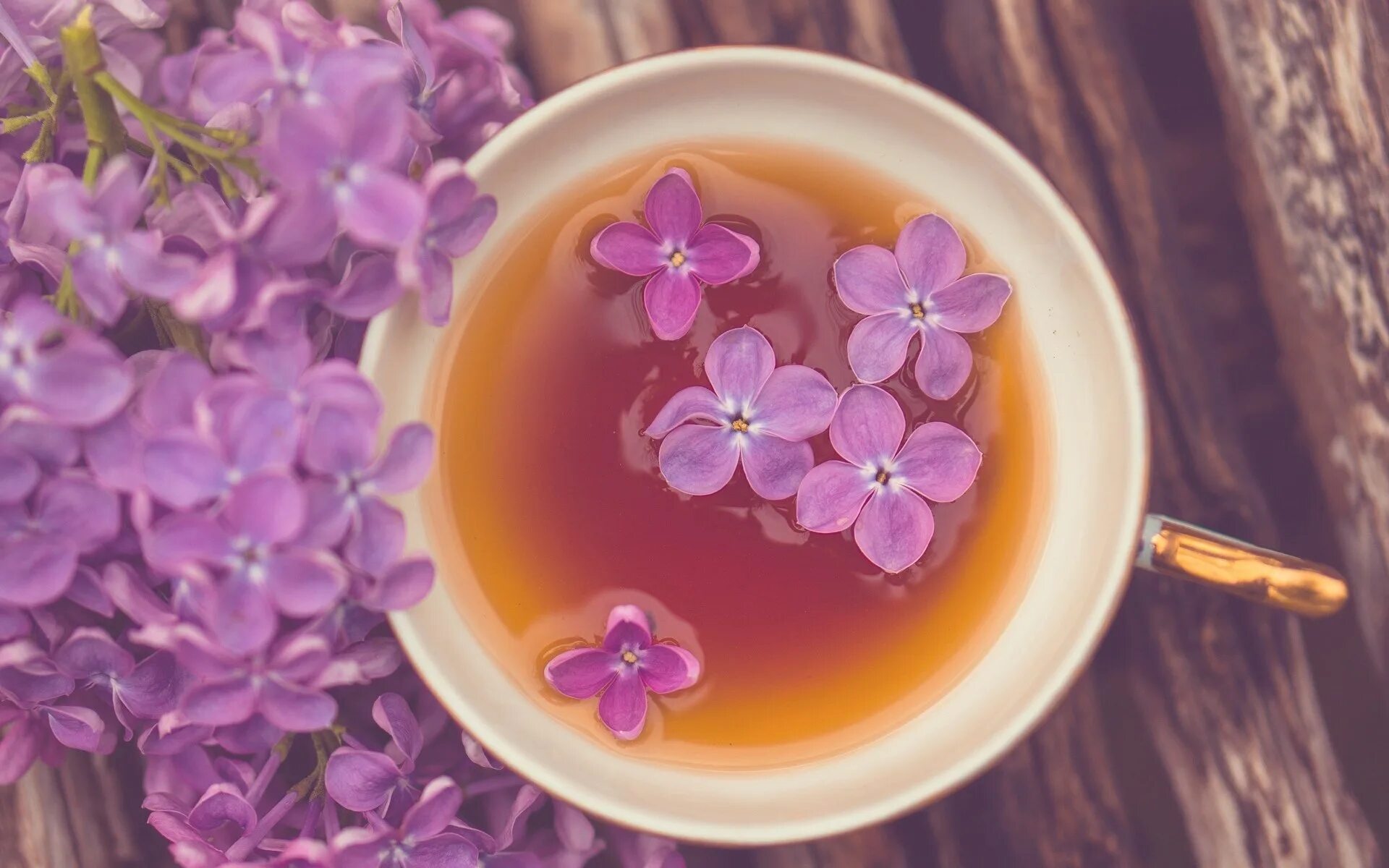 Ее настроение цвета май. Красивые цветы в чашке. Чай цветок. Цветы в кружке. Чай с фиолетовыми цветочками.