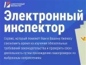 Электронный инспектор
