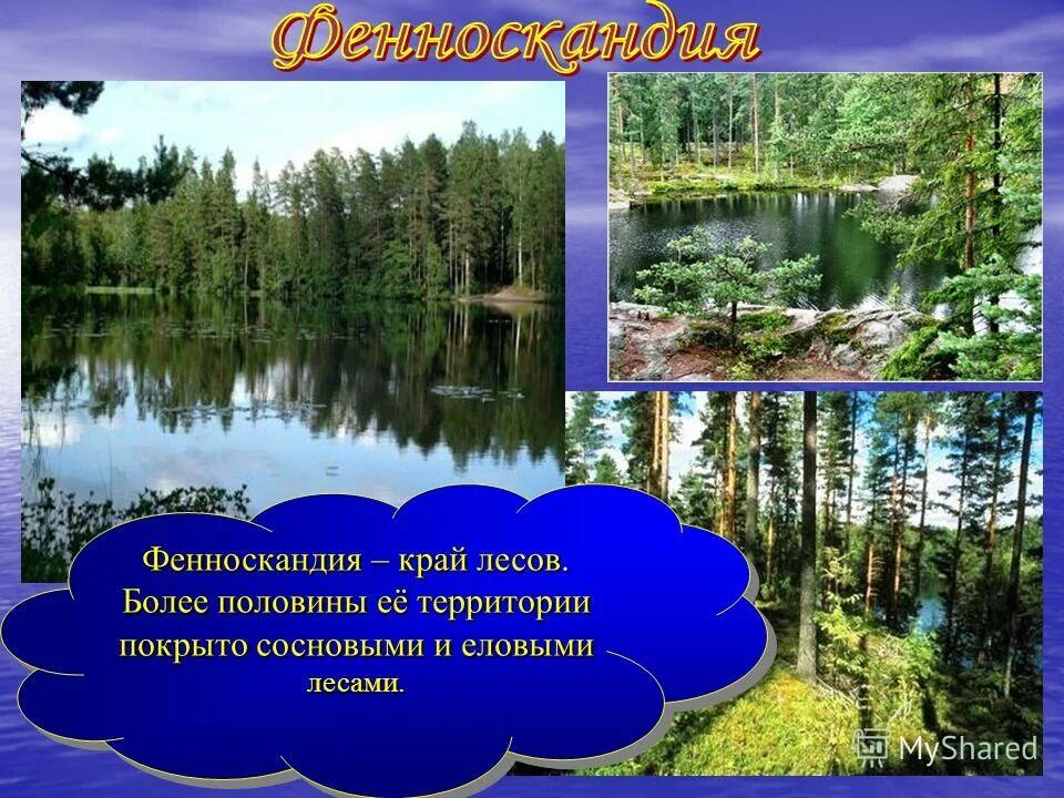 природная зона занимает более половины территории нашей страны. биологические ресурсы русской равнины. природа россии презентация. леса занимают больше. более половины территории на.