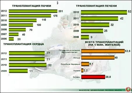 Сколько живет пересаженная
