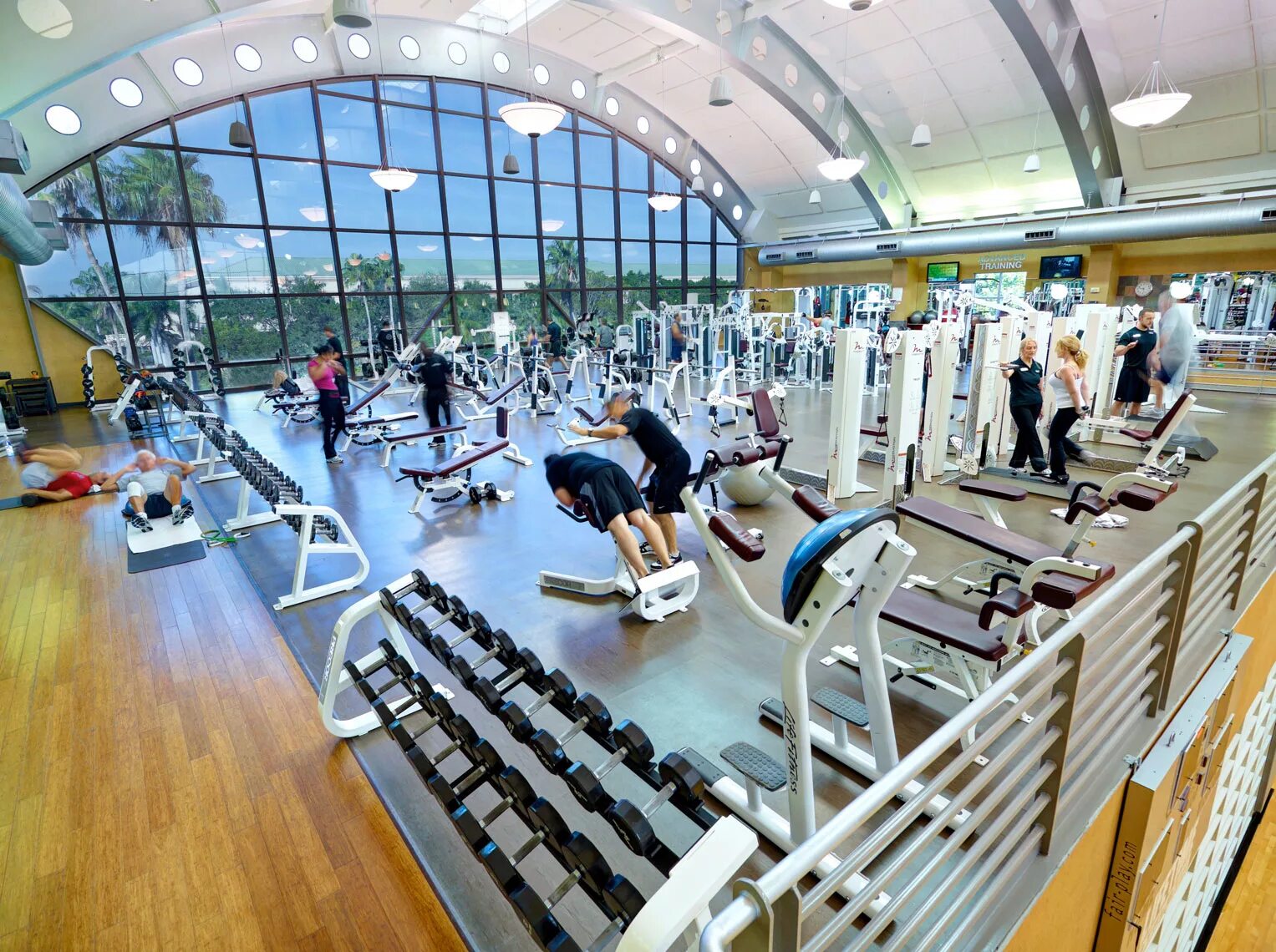 Тренажерный зал старый оскол. Горки фитнес. тренажерный зал life fitness самарканд. фитнес центр для детей минера. фитнес электрон зеленоград.