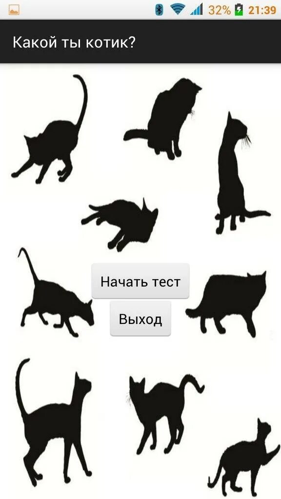 Коты тест. Тесты про котиков. Тест по котам. Тесты для котов и кошек.