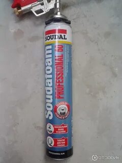 Professional 60