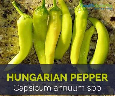 Семян желтый перец