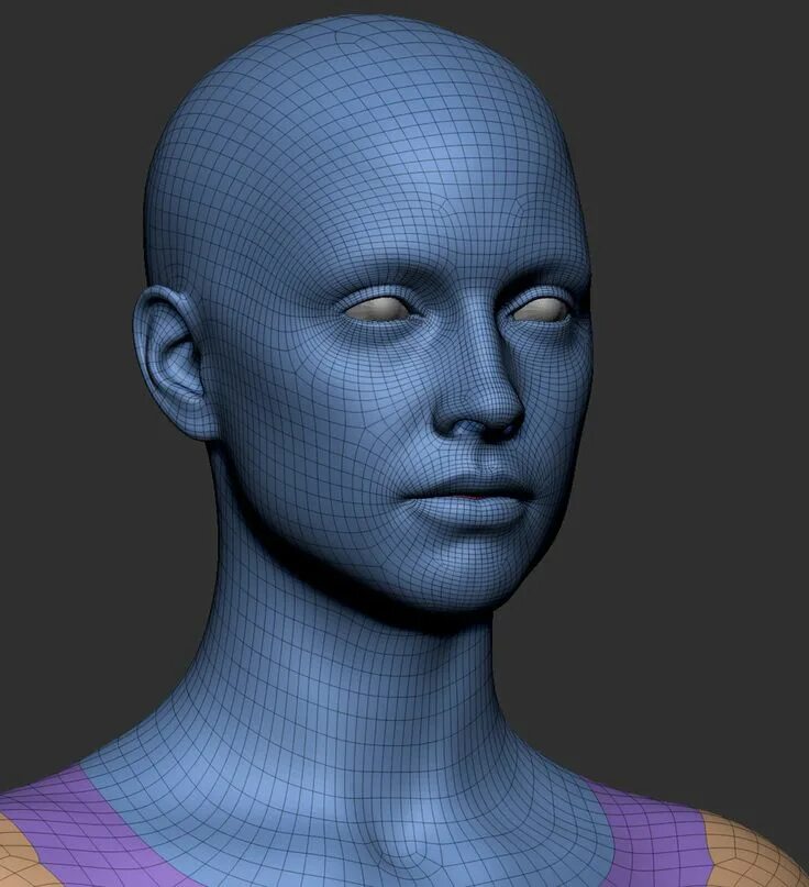 Zbrush head Base Mesh. Референс Zbrush face. Mesh модель. Что такое меш моделирование. Based heads