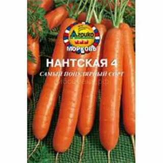 Морковь нантская 4 отзывы
