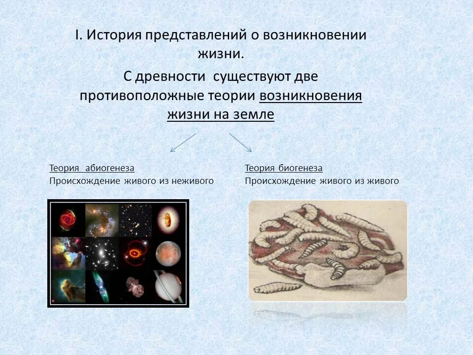 Гипотеза естествознание. Представления о зарождении жизни. Представления о возникновении жизни на земле. Гипотезы зарождения жизни на земле. Представление о зарождении жизни на земле.