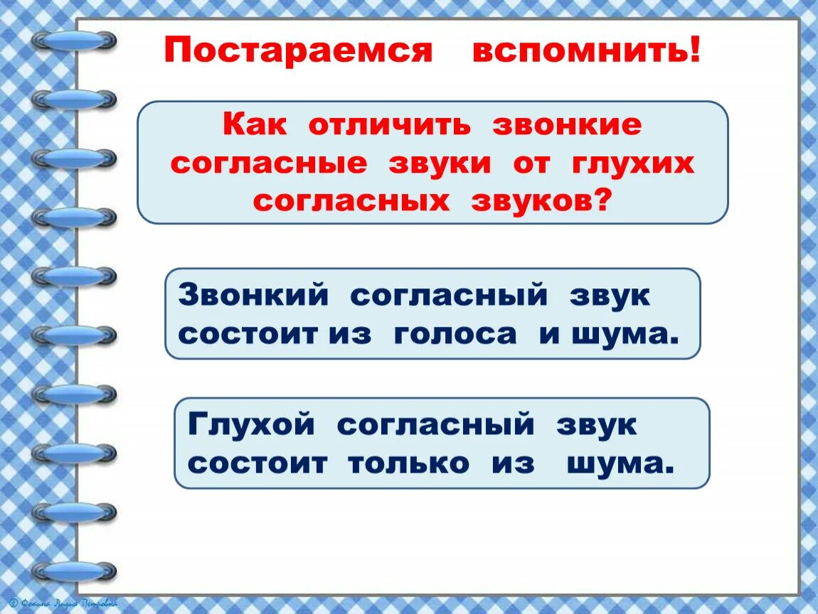 Как отличить 2 от 3. Как отличить звонкие от глухих. Как отличить звонкие согласные звуки от глухих. Как отличить звонкие согласные от глухих согласных. Звонкие и глухие согласные презентация.