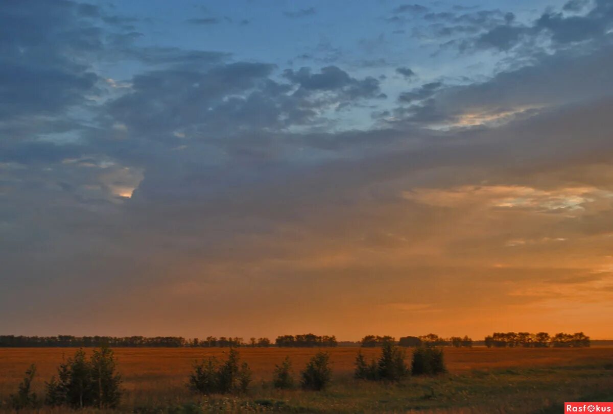 Закат в поле. Лазурная степь. Вьются над степью. Раннее утро в поле. Утренний рассвет.