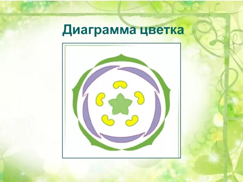 Цветку пасленовых соответствует формула. Пасленовые растения диаграмма цветка. диаграмма цветков семейства пасленовые. семейство пасленовые диаграмма цветка. диаграмма цветка пасленовых схема.