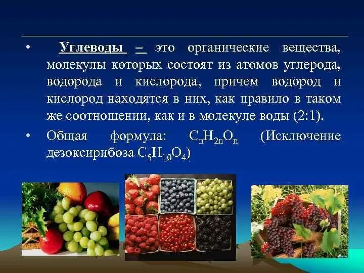 Углеводом является вещество