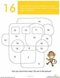 15 16 numbers