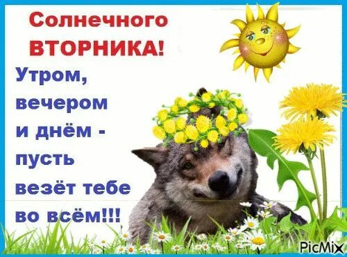 Анимированная открытка "Удачного вторника!" Вторник, Веселые картинки, Картинки