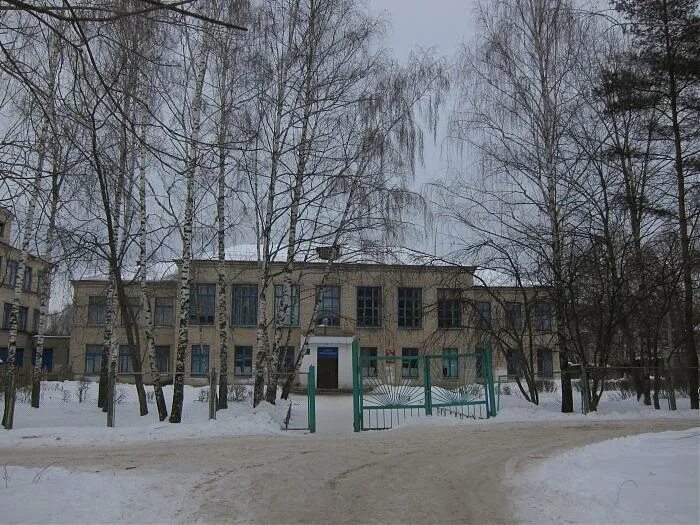 Школа 2 арзамас. Гимназия 4 арзамас. Школа 6 арзамас. Школа 2 арзамас. Православная гимназия арзамас.