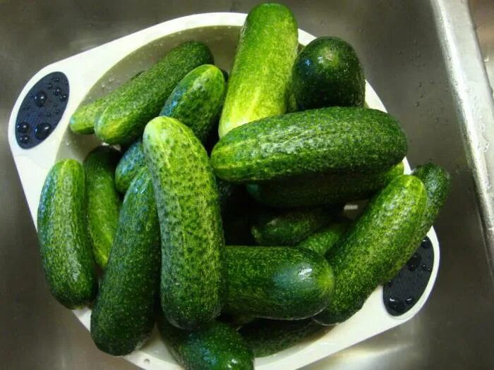 Семена ЭЛИТагро Огурец Клавдия F1 "Урожайный и вкусный, проверенный сорт огурц