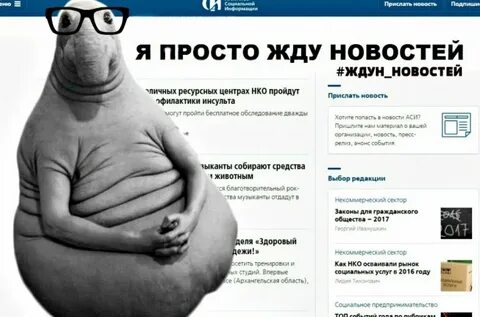 Новости буду ждать