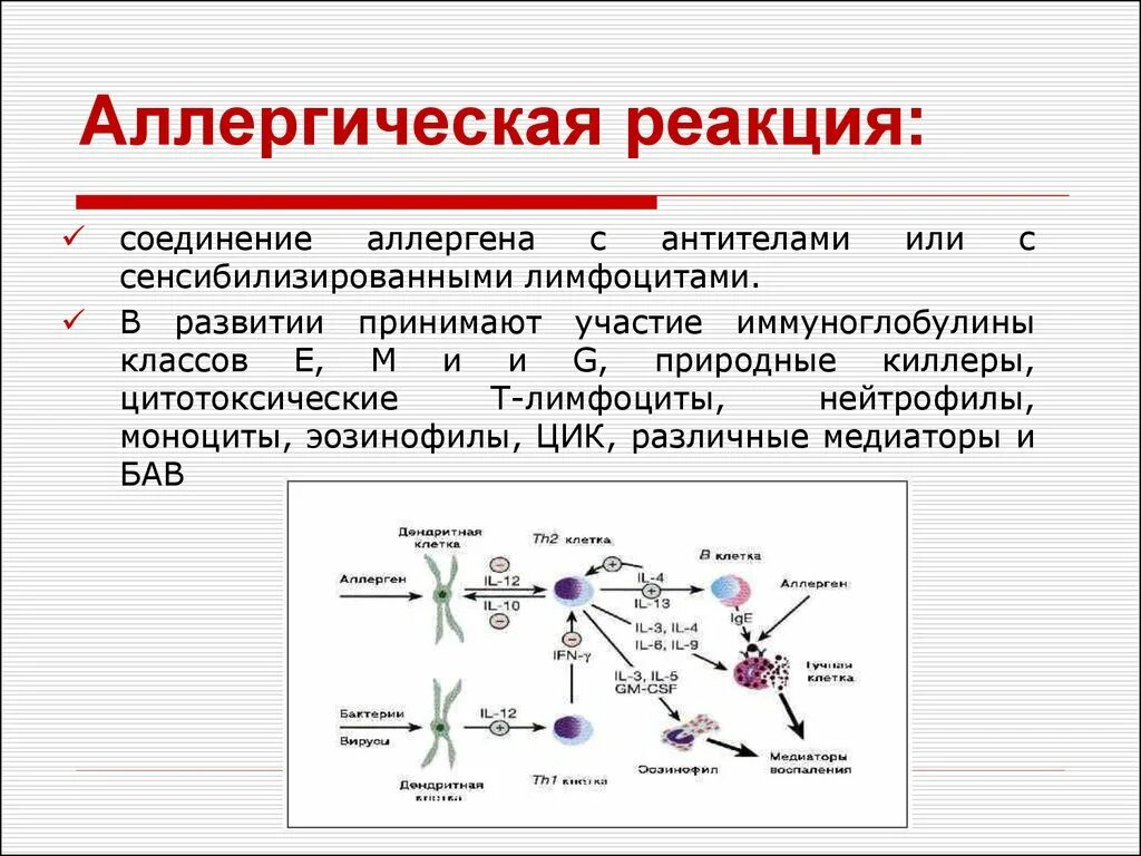 Причины аллергических реакций. Основные симптомы аллергических реакций. Аллергическая реакция может возникать. Типы аллергических реакций схема. Реакция организма которая возникает