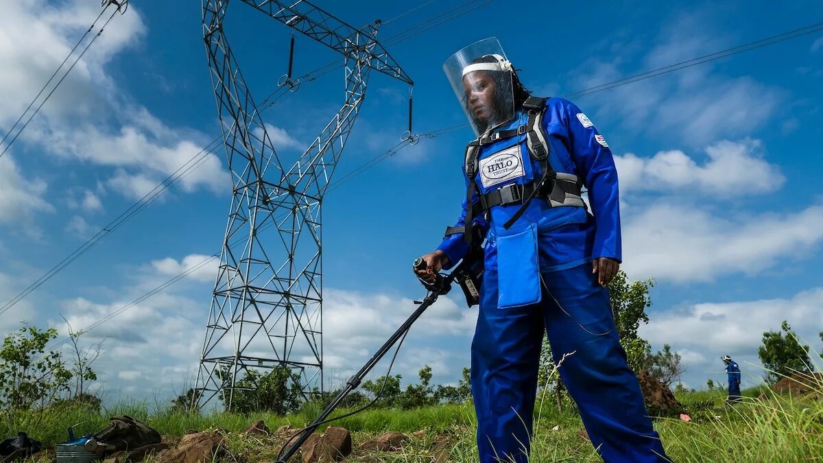 Clearing land. Demining. Mine Clearance. Clearing Power lines. Land mine.