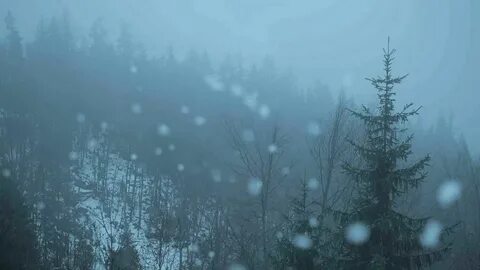 Блики туманы песня