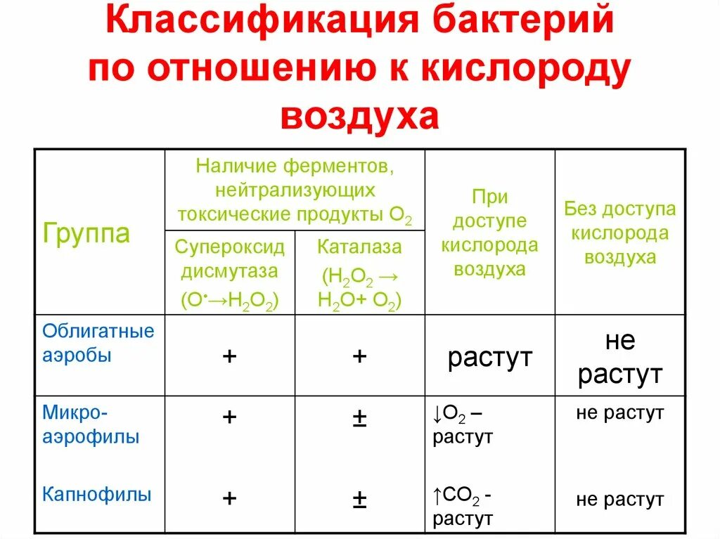 Отношение 3 к 16. Классификация бактерий по отношению к кислороду воздуха. Бактерии классификация таблица. Классификация микроорганизмов по отношению к кислороду. Классификация бактерий по отношению к кислороду.