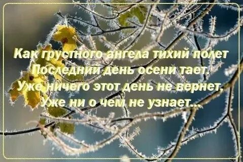 Стихи про последний день года