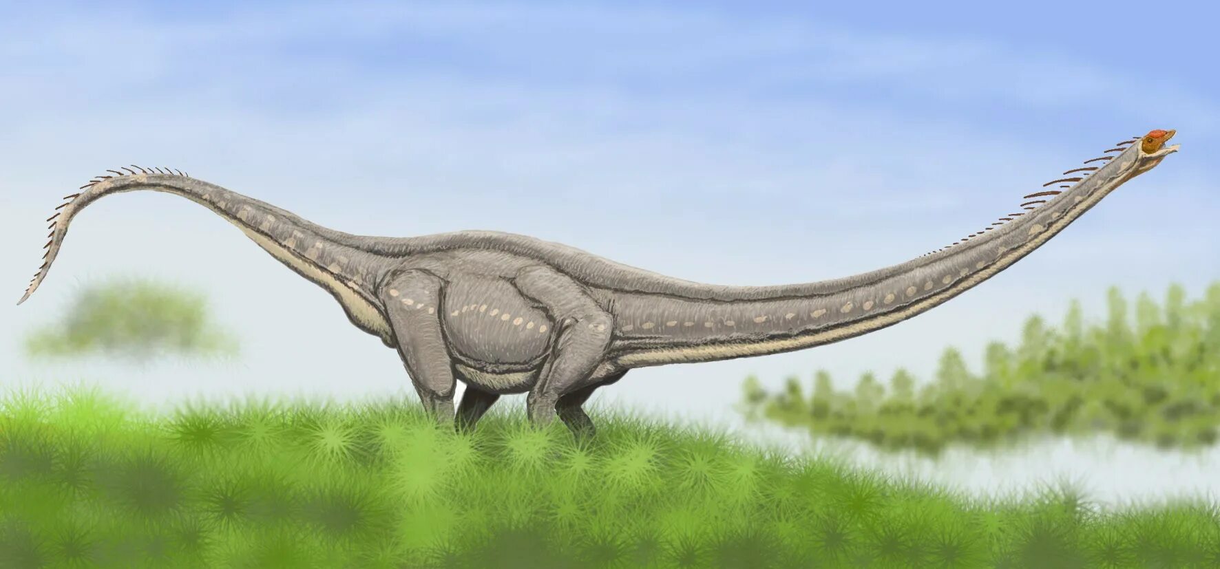 Длинношеий динозавр. Маменчизавр Диплодок. Маменчизавр Диплодок Апатозавр. Mamenchisaurus hochuanensis. Маменчизавр динозавр.