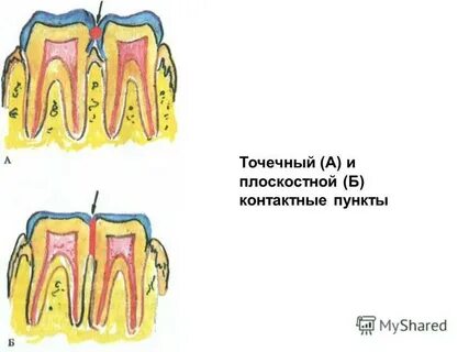 Контактный пункт