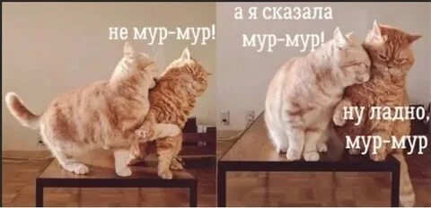 Включи мур
