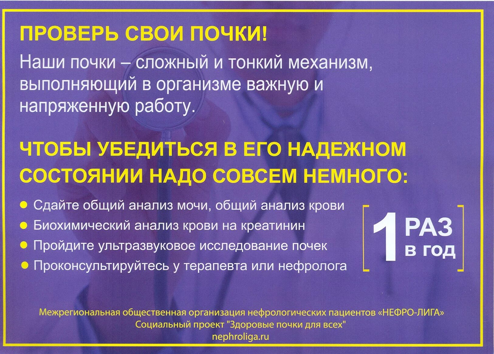 Анализы для проверки почек. Как проверить работу почек. Как проверить функцию почек. Какие анализы нужны чтобы проверить почки