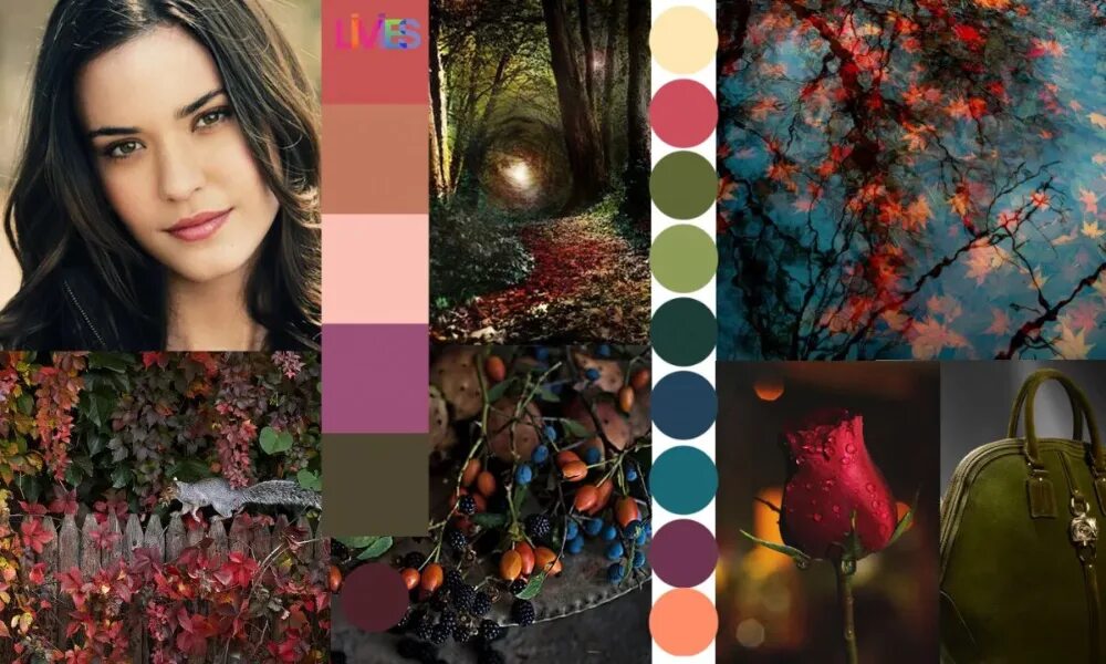 Тёмная осень цветотип палитра. Цвет волос для типа осень. Темная осень представители. Цветотип зима макияж. Цветотип темная зима палитра цветов.