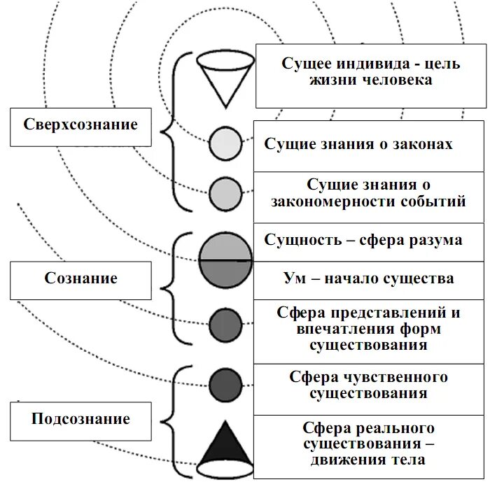 Какой инстинкт является основным. Базовые инстинкты человека. Инстинкт схема. Инстинкты человека список базовые. Примеры инстинктов у человека.