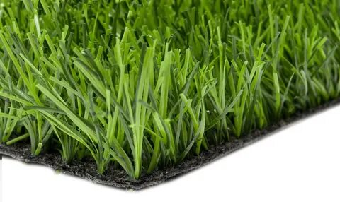 Premium grass