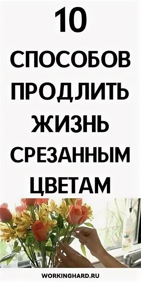 Пин на доске Полезные советы
