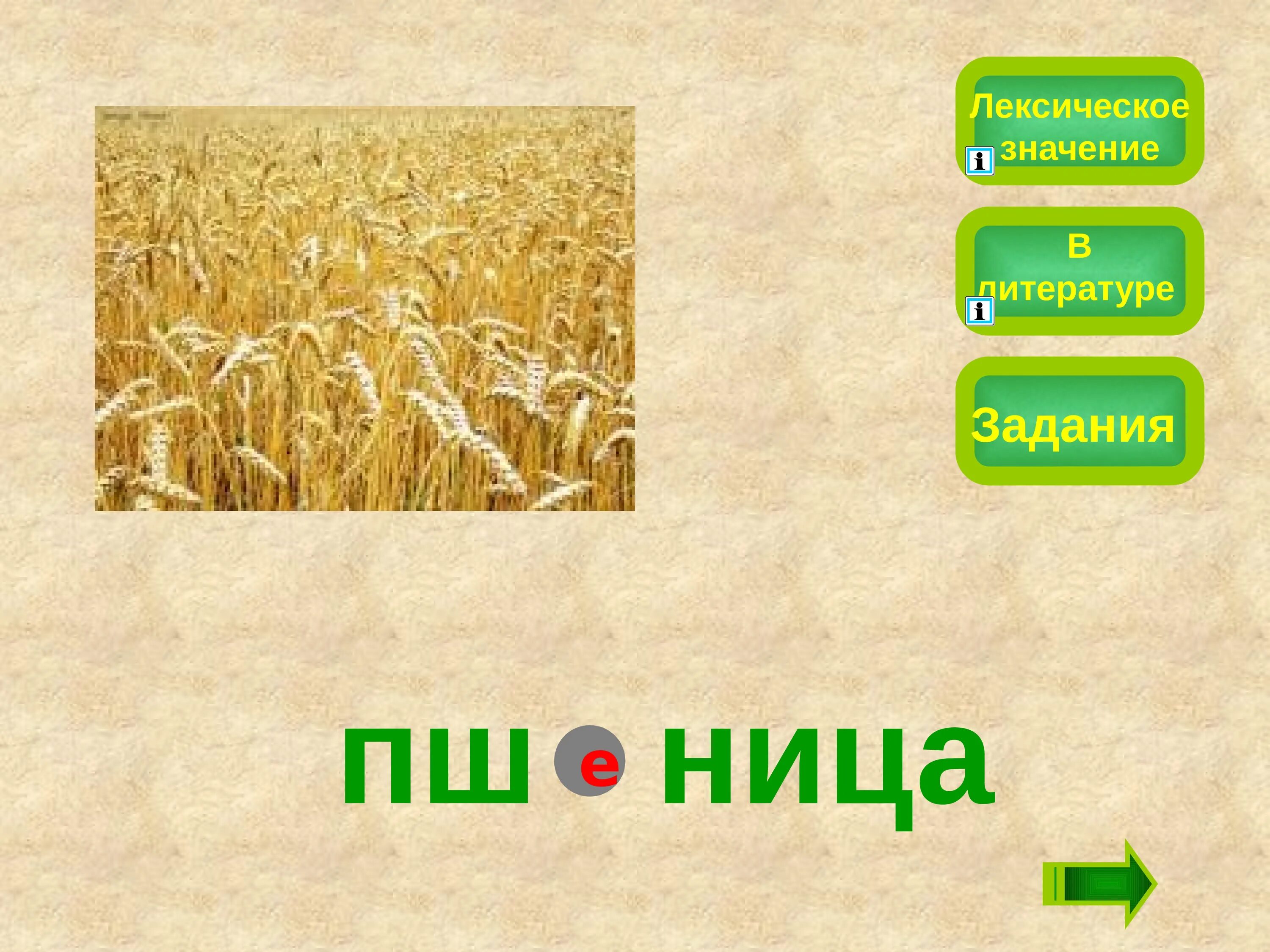 Пшеница лексическое значение. Слово пшеница словарное слово. Лексическое значение словарных слов. Лексическое значение словарных слов 2 класс.