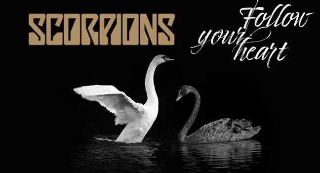 Scorpions follow your heart drum. Scorpions best. Scorpions rock believer обложка. Scorpions follow your. Scorpions follow your heart drum.
