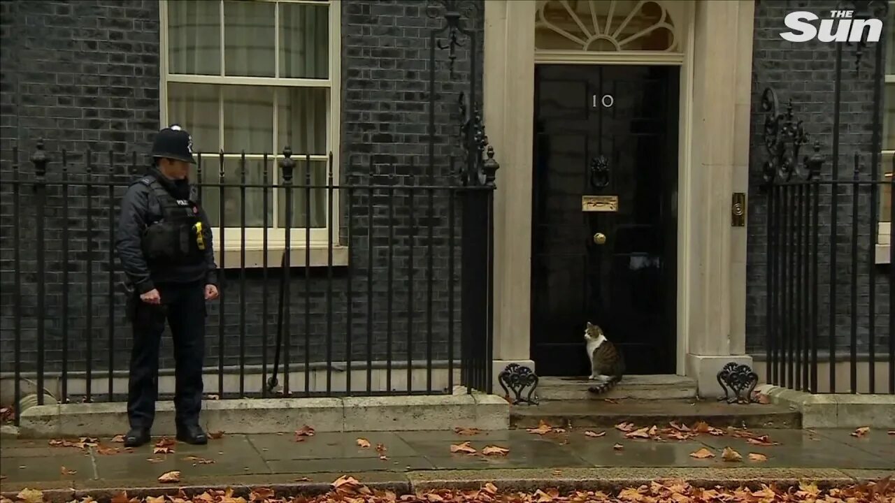 10 downing street was