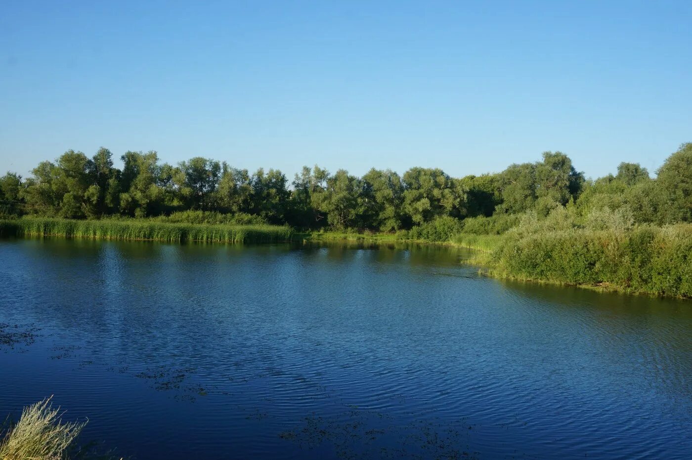село целинное саратовская область. погода поселок целинный саратовская область. поселок ершовский московская область село калинское. ершовский район. поселок кушумский ершовский район.