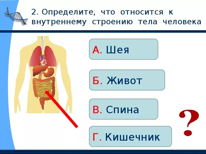 Что такое организм тест