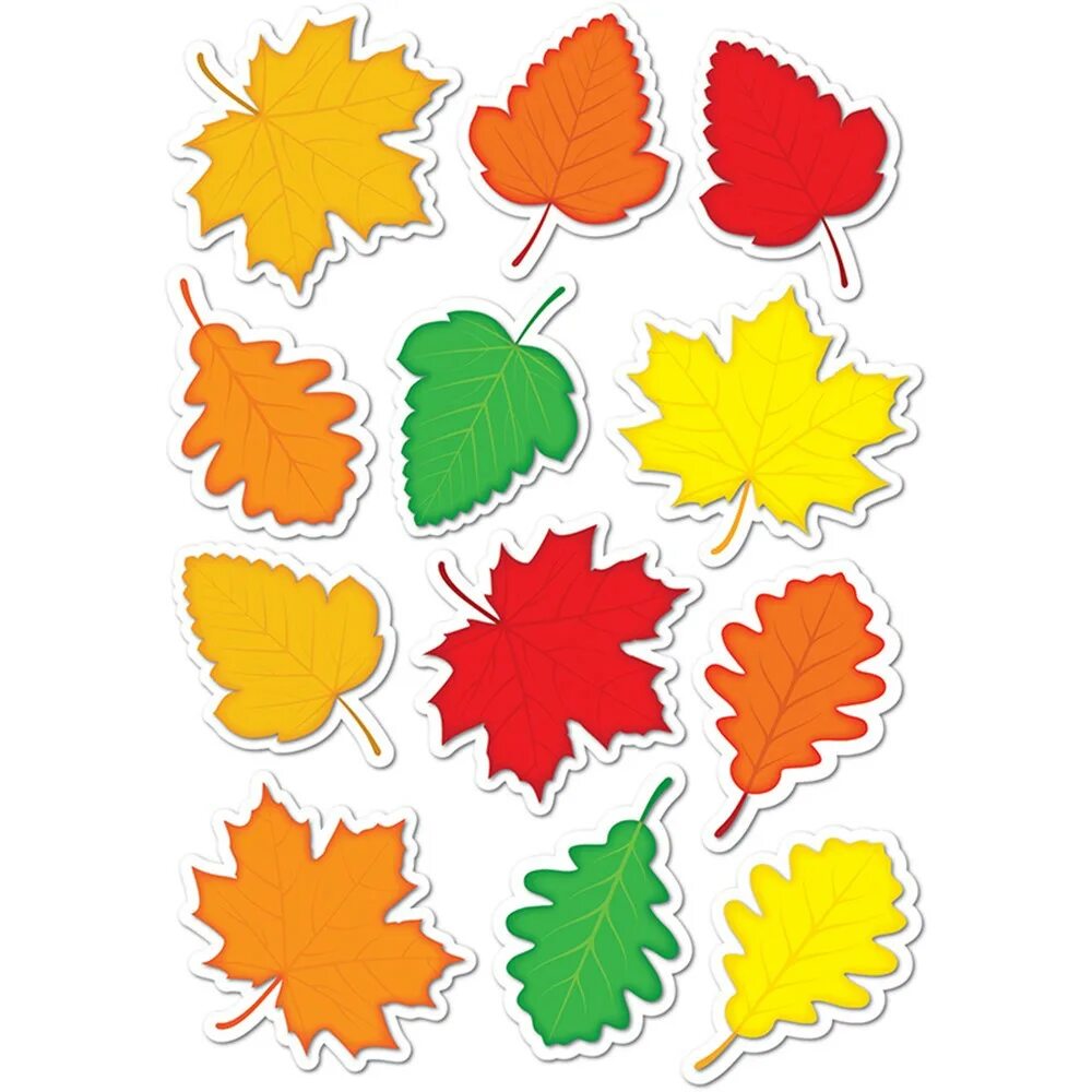 Leaves for school. Осенние листья для вырезания цветные. Разноцветные листочки осенние. Осенние листики для вырезания цветные. Разноцветные осенние листочки для вырезания.