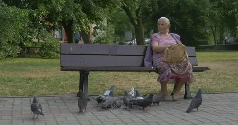 Бабка и голубь