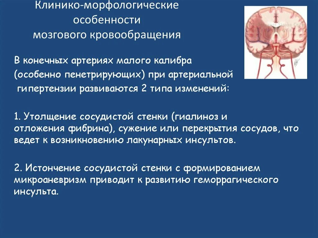 Каковы особенности головного мозга. Особенности кровоснабжения головного мозга. Особенности мозгового кровотока. Особенности мозгового кровообращения. Характеристики мозгового кровотока.