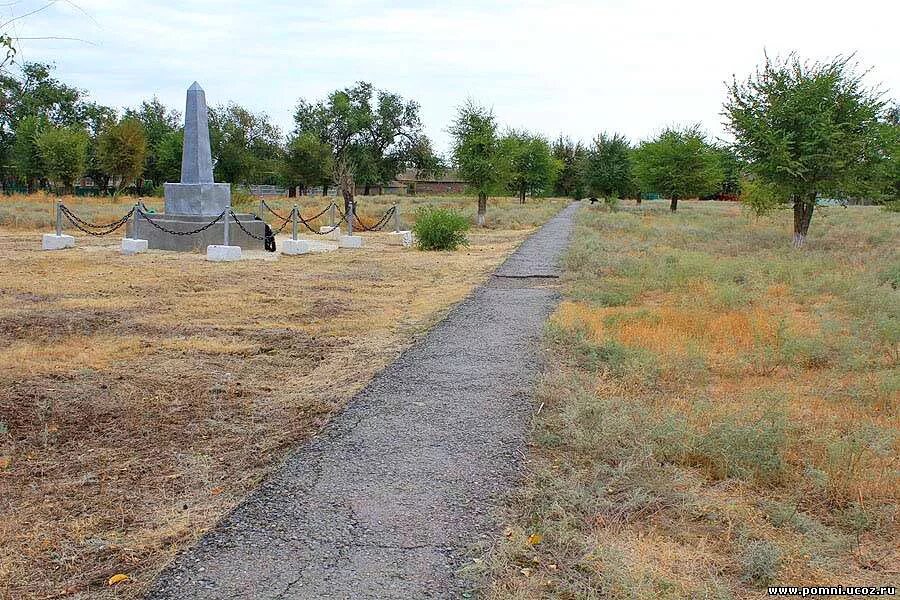 Зимовники фото. Посёлок Зимовники Кучманский парк. Посёлок Зимовники Ростовская область. Братская могила в Ростовской области 1943 году. Зимовники Братская могила.